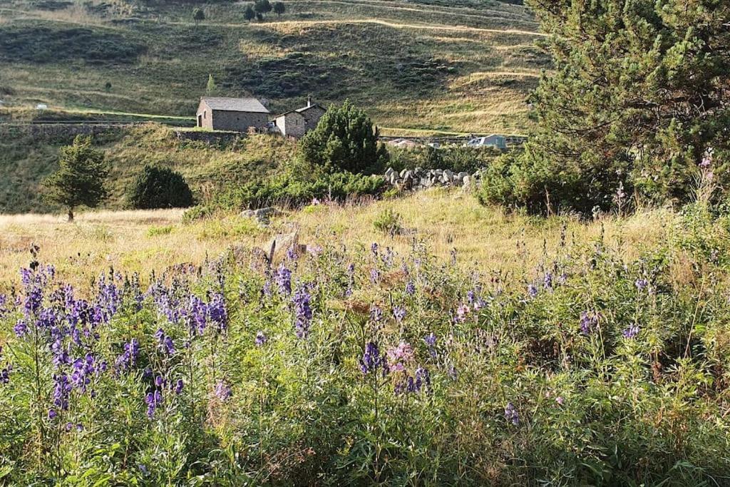 Acollidor estudi amb encant nòrdic i amb parquing, al costat de Grandvalira Canillo Esterno foto